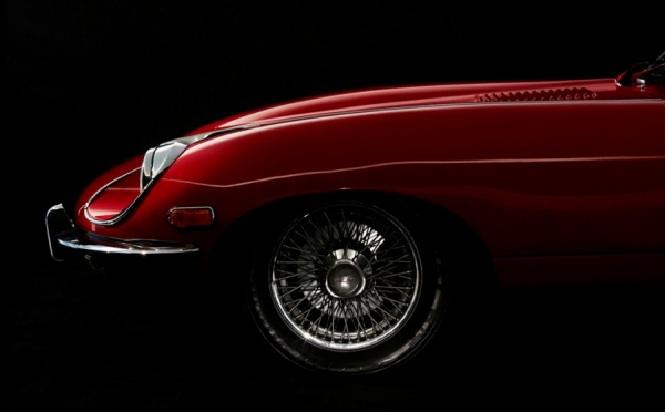 Photograph Bryan Traylor Jaguar on One Eyeland